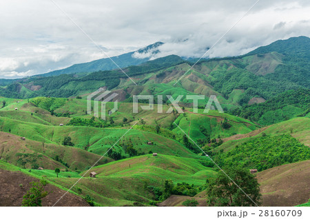 Mountain agriculture in Nan Province,Thailand 28160709