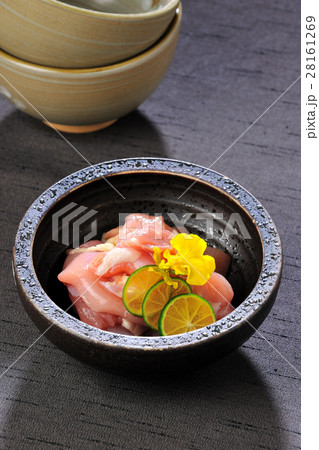 日本食 和食 日本料理 28161269