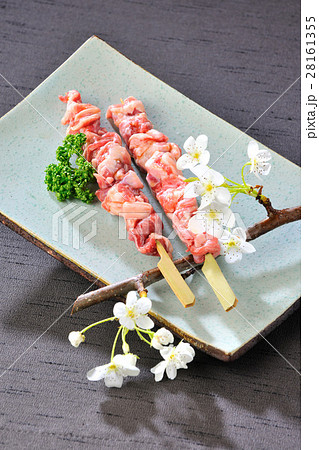 日本食 和食 日本料理 28161355