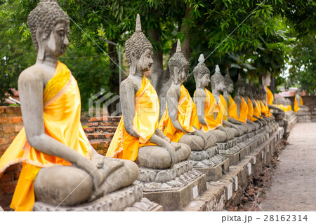 Buddha Statue in Ayuthaya, Thailand 28162314