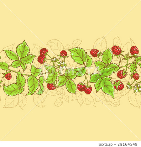 raspberry vector pattern 28164549
