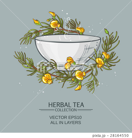 rooibos tea illustration 28164550