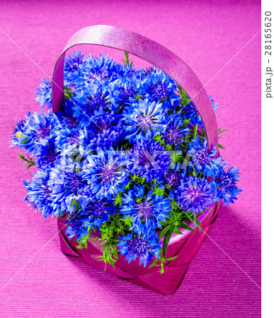 cornflowers in a basket cornflowers in a basket 28165620