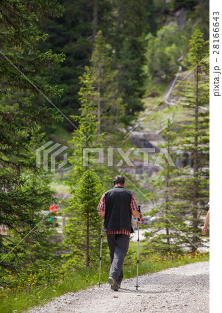 Hiker on a trail 28166643