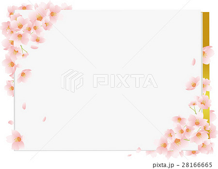 桜 色紙 のイラスト素材