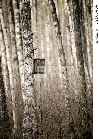 Nesting box in the forest Nesting box in the forest 28166696