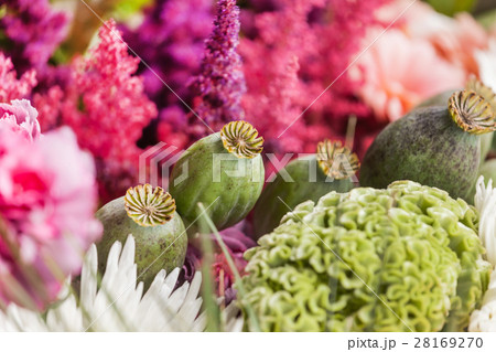 nice flowers 28169270