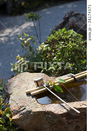 妙心寺退蔵院、元信の庭。季節の手水鉢、春 28174371