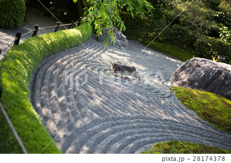 妙心寺退蔵院、陰陽の庭に春の日差しと影 28174378