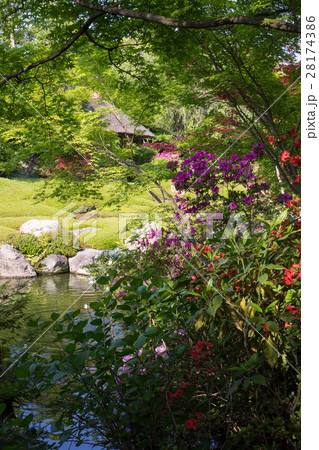 妙心寺退蔵院、余香苑の春 28174386