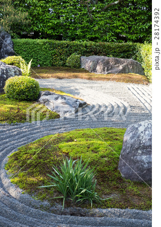 妙心寺退蔵院、陰陽の庭に春の日差しと影 28174392