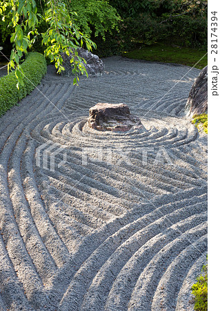 妙心寺退蔵院、陰陽の庭に春の日差し。葉桜 28174394
