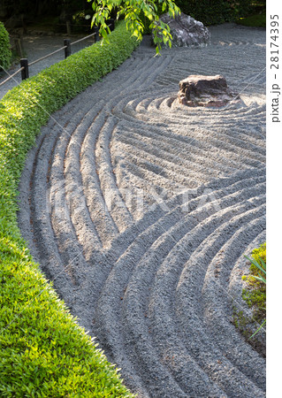 妙心寺退蔵院、陰陽の庭に春の日差し。葉桜 28174395