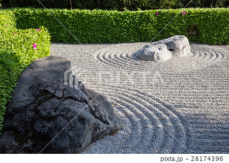 妙心寺退蔵院、陰陽の庭に春の日差しと影。ツツジ 28174396