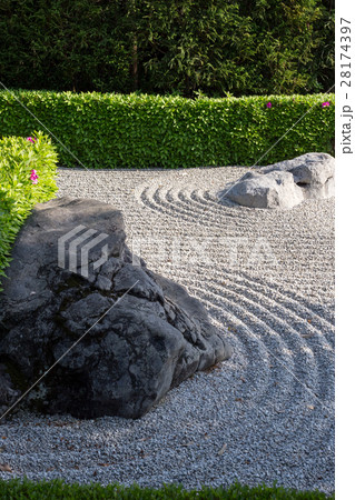 妙心寺退蔵院、陰陽の庭に春の日差しと影。ツツジ 28174397