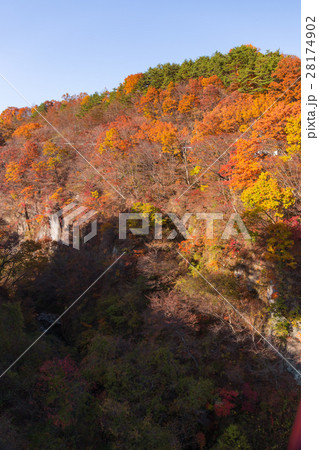 福島県　西の郷遊歩道（11月） 28174902
