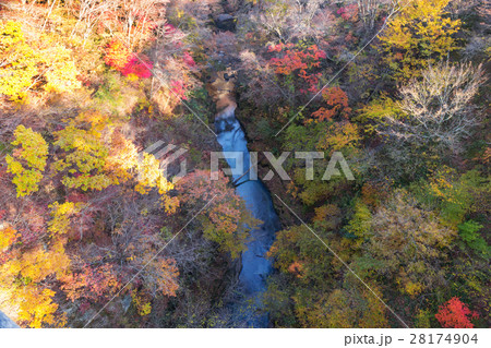 福島県　西の郷遊歩道（11月） 28174904