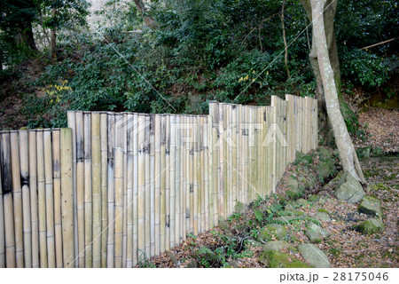 竹垣 竹垣 28175046