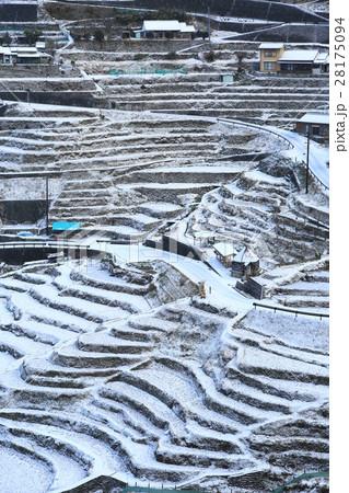棚田の雪化粧 棚田の雪化粧 28175094