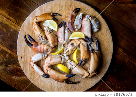 claws claws 28176072