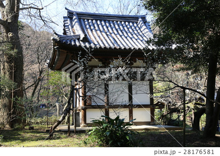 三渓園 三渓園 28176581
