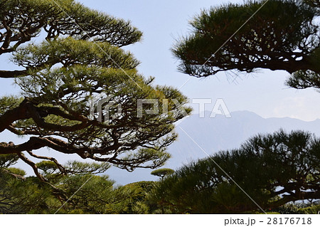 桜島(仙巌園から望む) 桜島(仙巌園から望む) 28176718