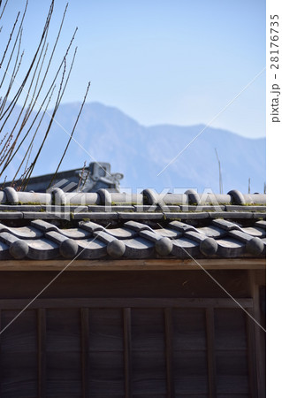 桜島(仙巌園から望む) 桜島(仙巌園から望む) 28176735