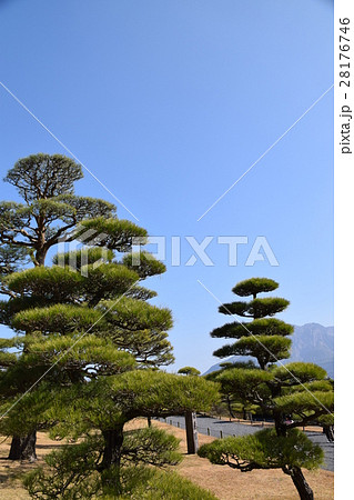 桜島(仙巌園から望む)島津 斉彬 せごどん 西郷隆盛 篤姫 世界文化遺産 大名庭園 大久保利通 桜島(仙巌園から望む)島津 斉彬 せごどん 西郷隆盛 篤姫 世界文化遺産 大名庭園 大久保利通 28176746
