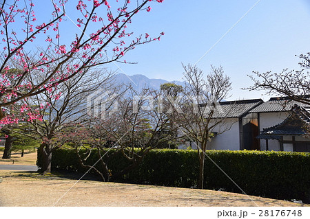桜島(仙巌園から望む)島津 斉彬 せごどん 西郷隆盛 篤姫 世界文化遺産 大名庭園 大久保利通 桜島(仙巌園から望む)島津 斉彬 せごどん 西郷隆盛 篤姫 世界文化遺産 大名庭園 大久保利通 28176748