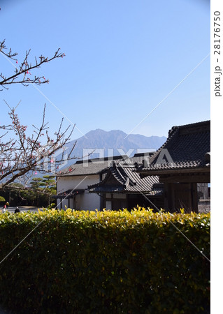 桜島(仙巌園から望む)島津 斉彬 せごどん 西郷隆盛 篤姫 世界文化遺産 大名庭園 大久保利通 桜島(仙巌園から望む)島津 斉彬 せごどん 西郷隆盛 篤姫 世界文化遺産 大名庭園 大久保利通 28176750