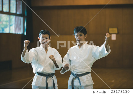 martial artist martial artist 28178150