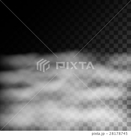 Fog or smoke isolated on transparent background. 28178745