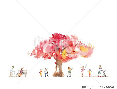 秋の公園、人々 秋の公園、人々 28178858