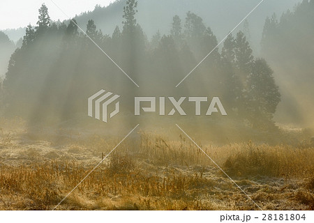 荒野の光芒 28181804