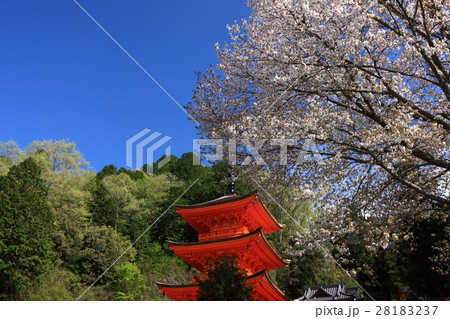 長福寺の三重塔 長福寺の三重塔 28183237