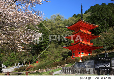長福寺の三重塔 28183240