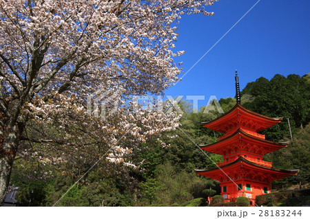 長福寺の三重塔 28183244
