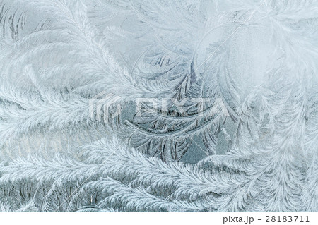 Frosty patterns on the window. 28183711