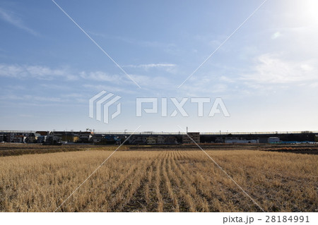 茅ヶ崎の風景 里山 茅ヶ崎の風景 里山 28184991