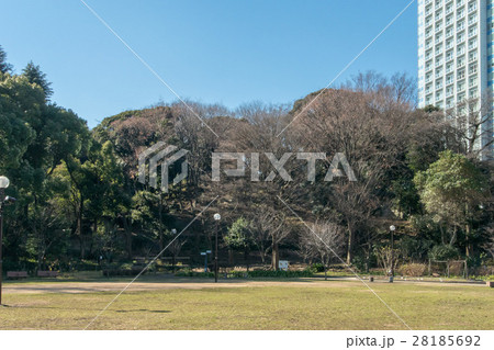 芝丸山古墳 28185692