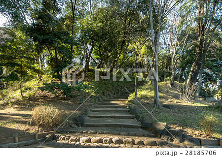 芝丸山古墳 28185706