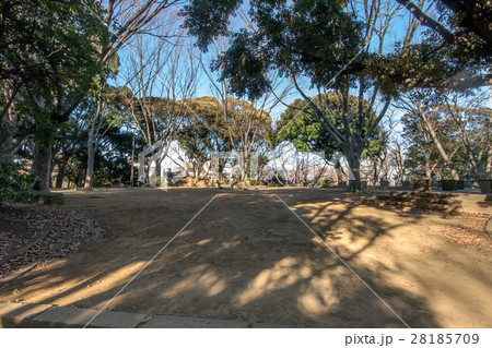 芝丸山古墳 28185709