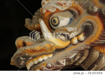 秩父観光名所　秩父神社の彫刻　龍 28185908