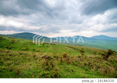 Landscape in Tanzania, depression near Ngorongoro 28186320