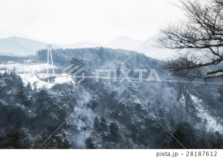 九重夢大吊橋 28187612