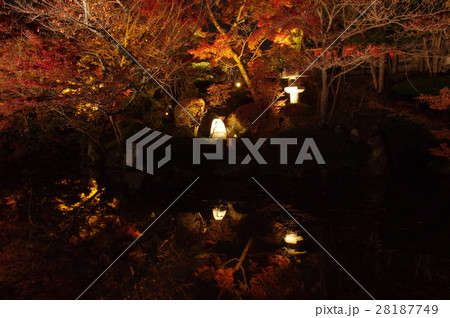 京都 紅葉 夜景 京都 紅葉 夜景 28187749
