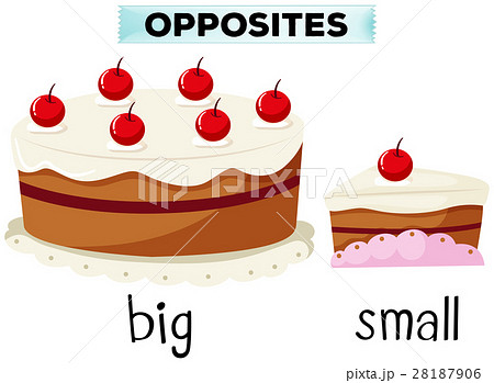 Opposite wordcard for big and small 28187906