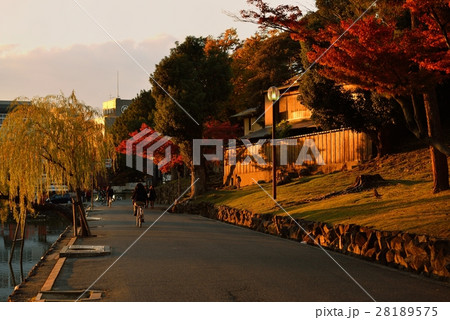 奈良町の夕暮れ 28189575