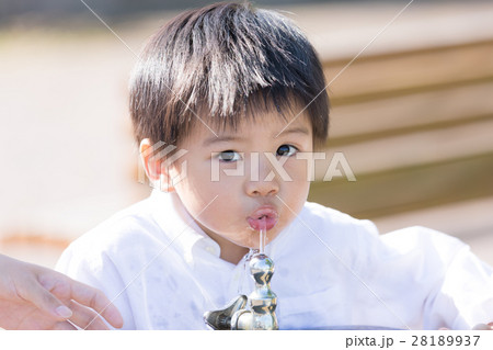 公園で遊ぶ子供 公園で遊ぶ子供 28189937