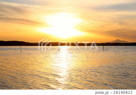 涸沼の夕景　茨城県　親沢公園 28190822